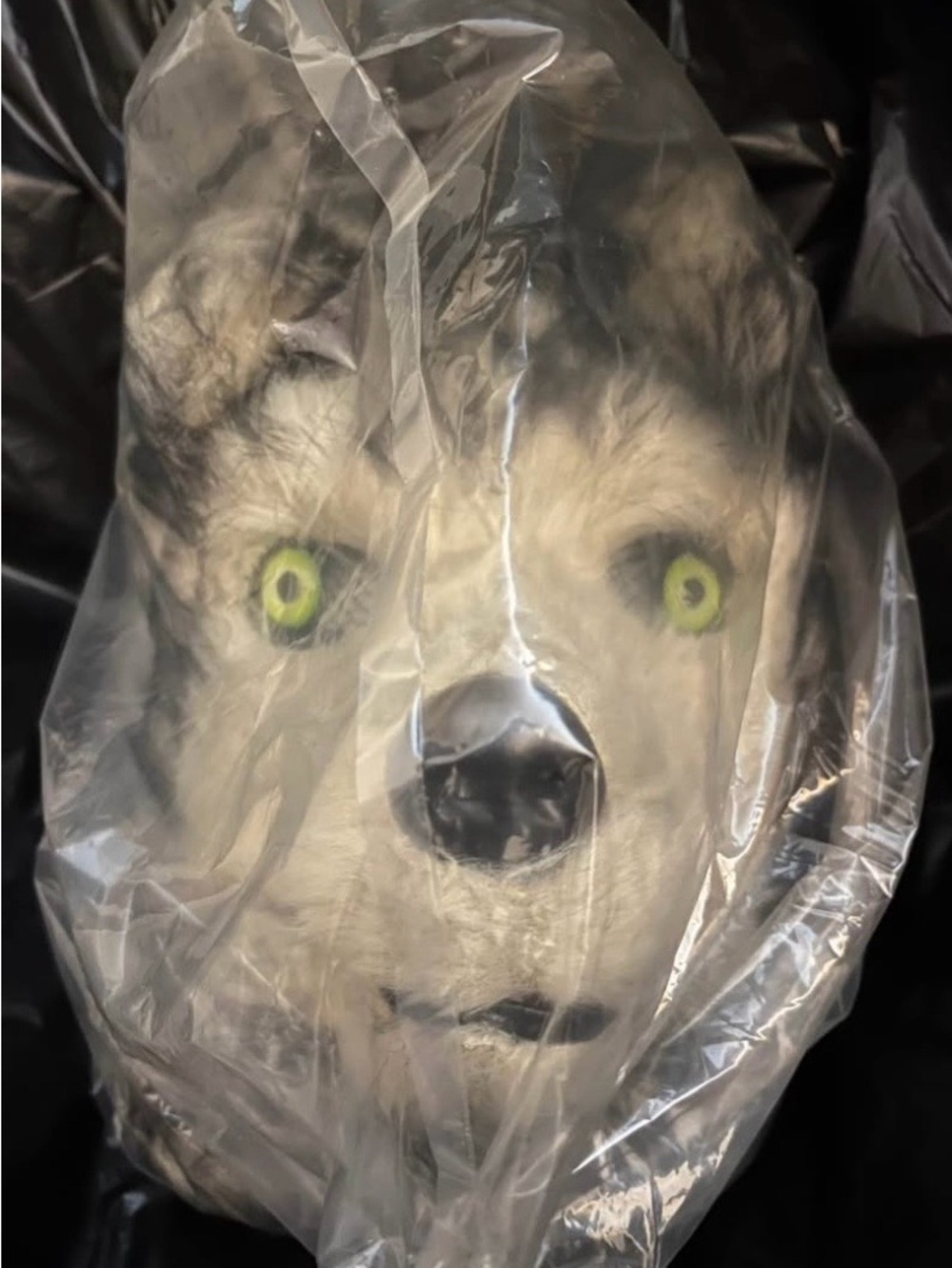 Halloween mask